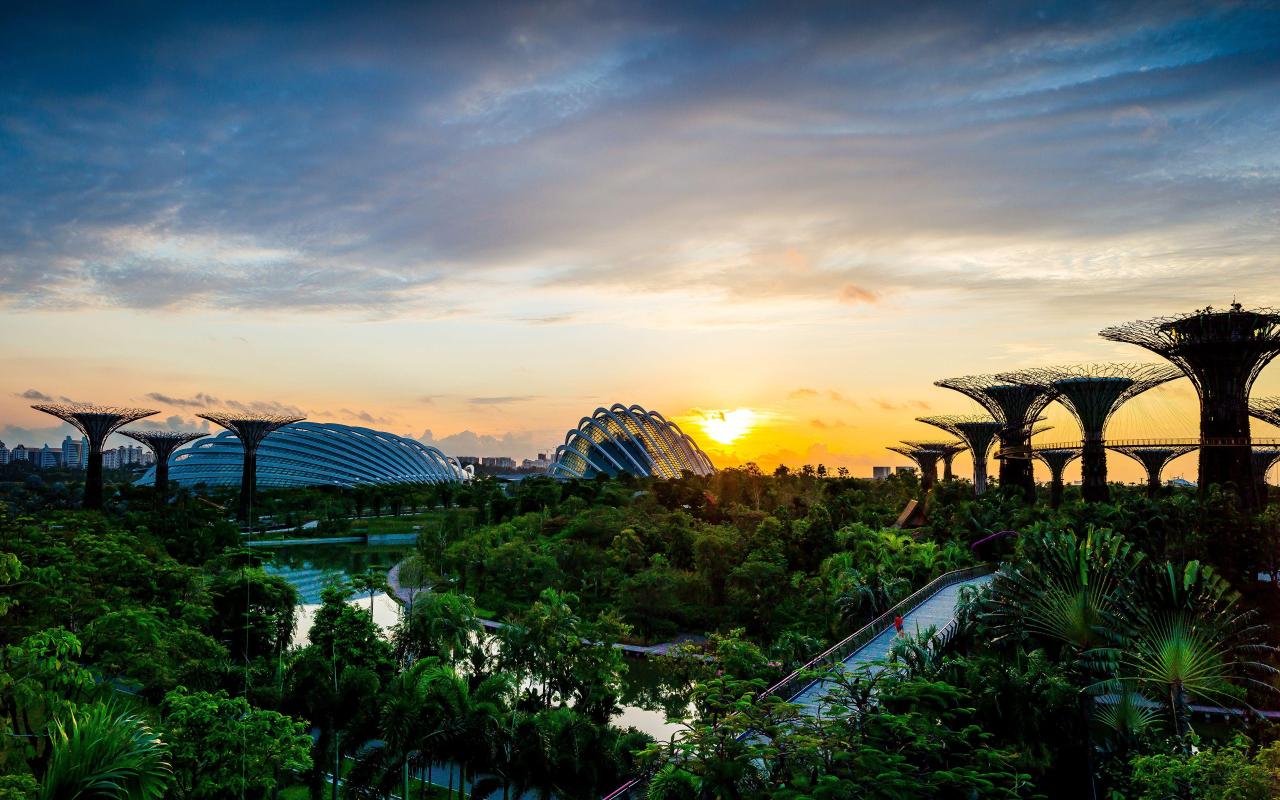 Singapore nature reserve