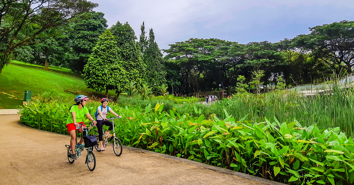 Best Parks in Singapore A Green Escape