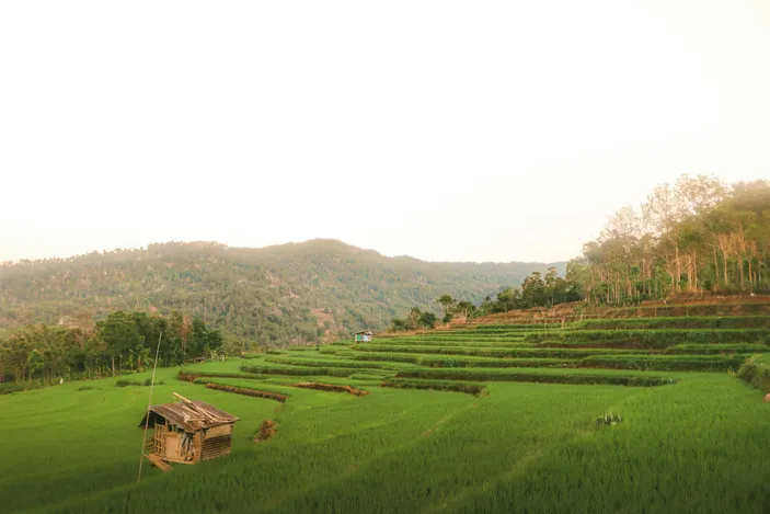 Wisata jawa timur viral