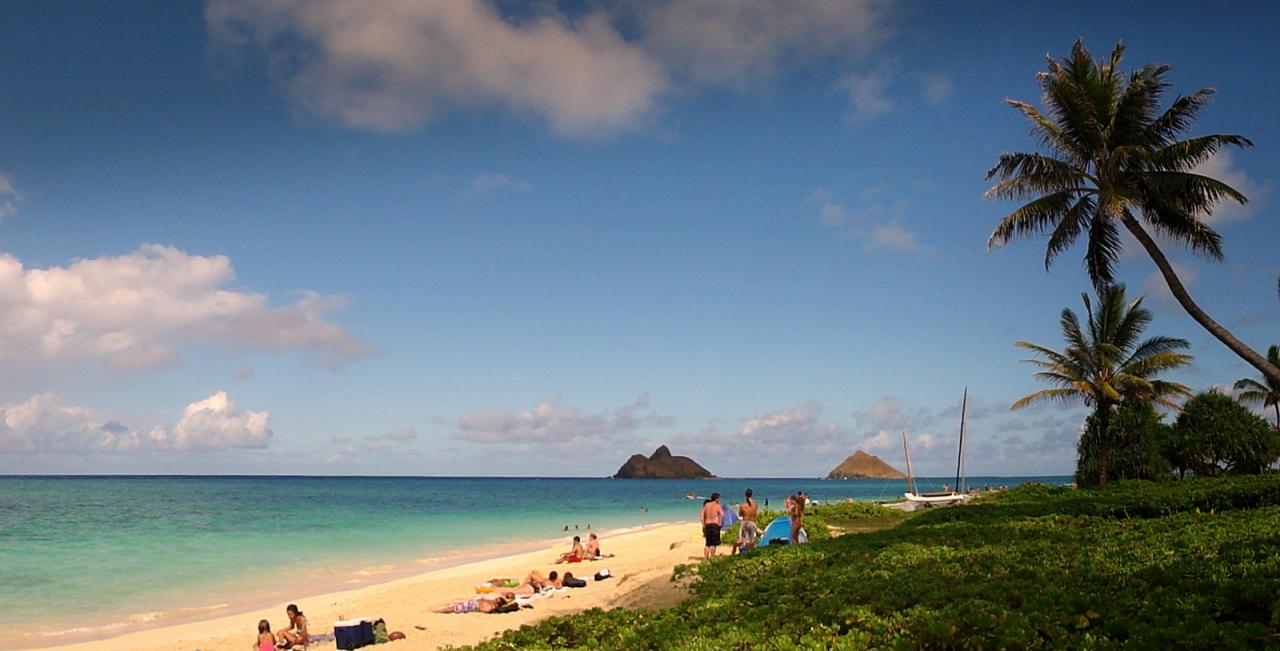 Beach Bar Near Me Your Guide